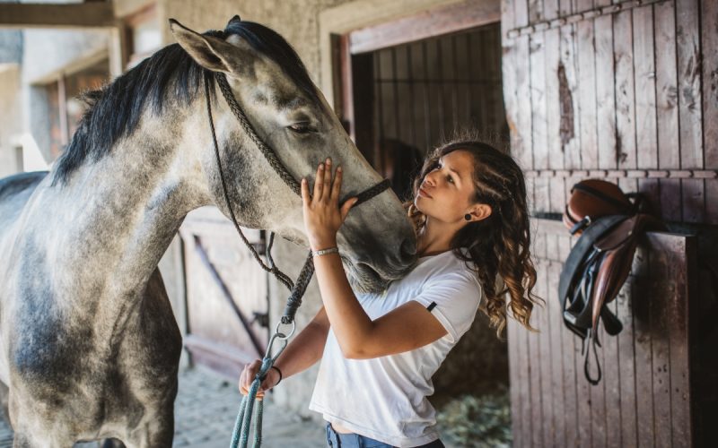 Horse Barn Mosquito and Flee Control